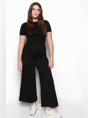 Ripley Rader Black Ponte Knit Wide Leg Pants High Waist cropped Size small NWT